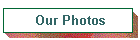 Our Photos